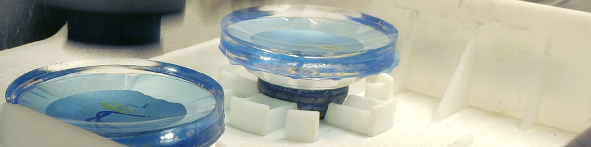 picture of lenses in tray